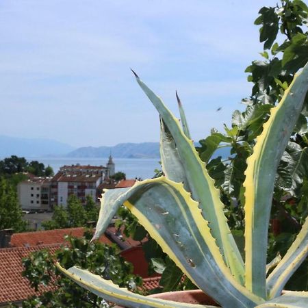 Central House Nona Crikvenica Dış mekan fotoğraf