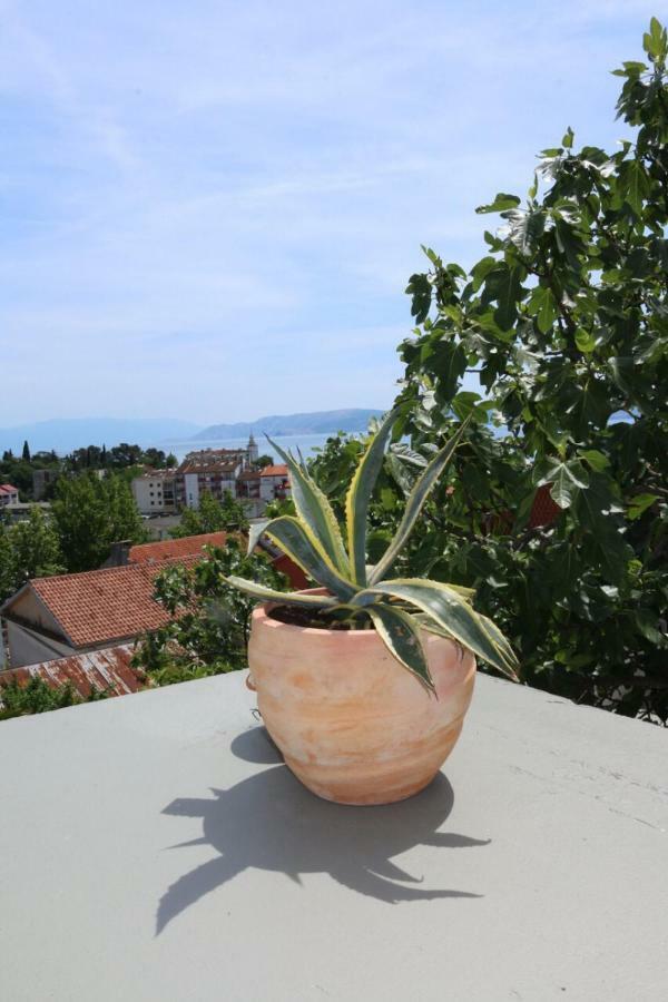 Central House Nona Villa Crikvenica Dış mekan fotoğraf